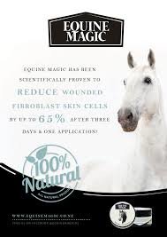 Equine Magic horses