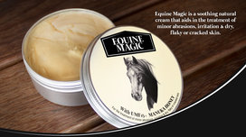 Equine Magic,  medicinale Manuka honing wondzalf voor paarden (100 gram)